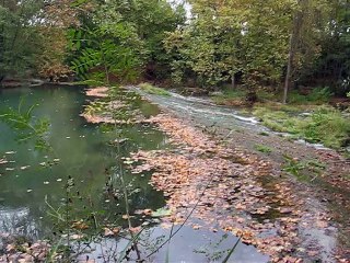 Chûte d'eau sur le Lez (2)