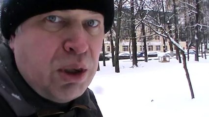 Кормушка для птиц в парке