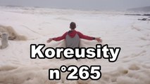 Koreusity n°265