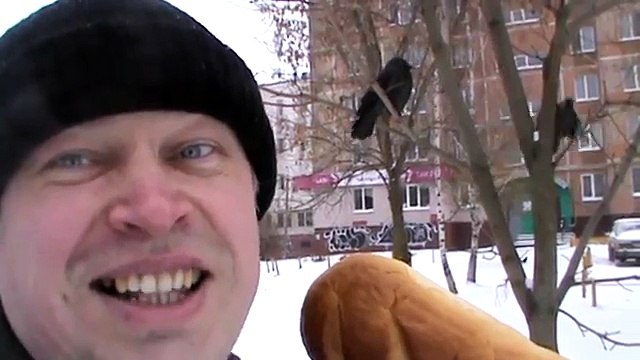 Я Геннадий Горин кормлю голубей зимой, прилетели голуби, город Орёл