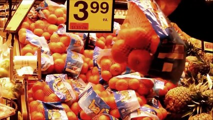 Grocery Shopping at Hannaford Supermarket- Brunswick