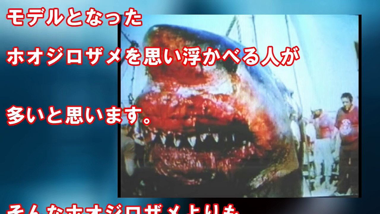 【閲覧注意】絶滅したはずの巨大鮫メガロドンが生存！？その衝撃の事実に世界が震えた！【セカイノフルエ】