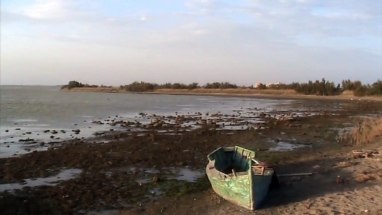 Le Canet-Roselière