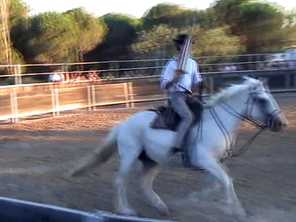 Manade (9)