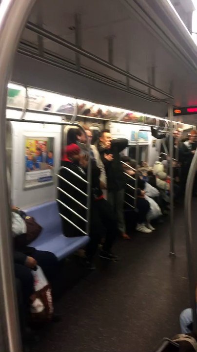 Pigeon Subway Passenger