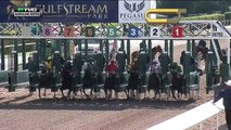 RACE REPLAY: 2017 Hurricane Bertie Stakes Featuring Curlin's Approval