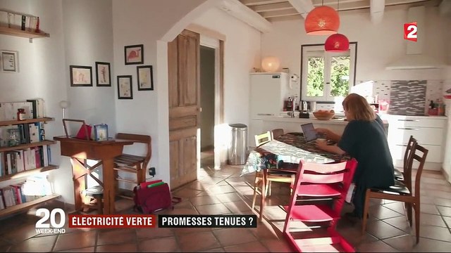 Énergie : les acteurs de l'électricité verte favorisent-ils toujours le développement durable ?