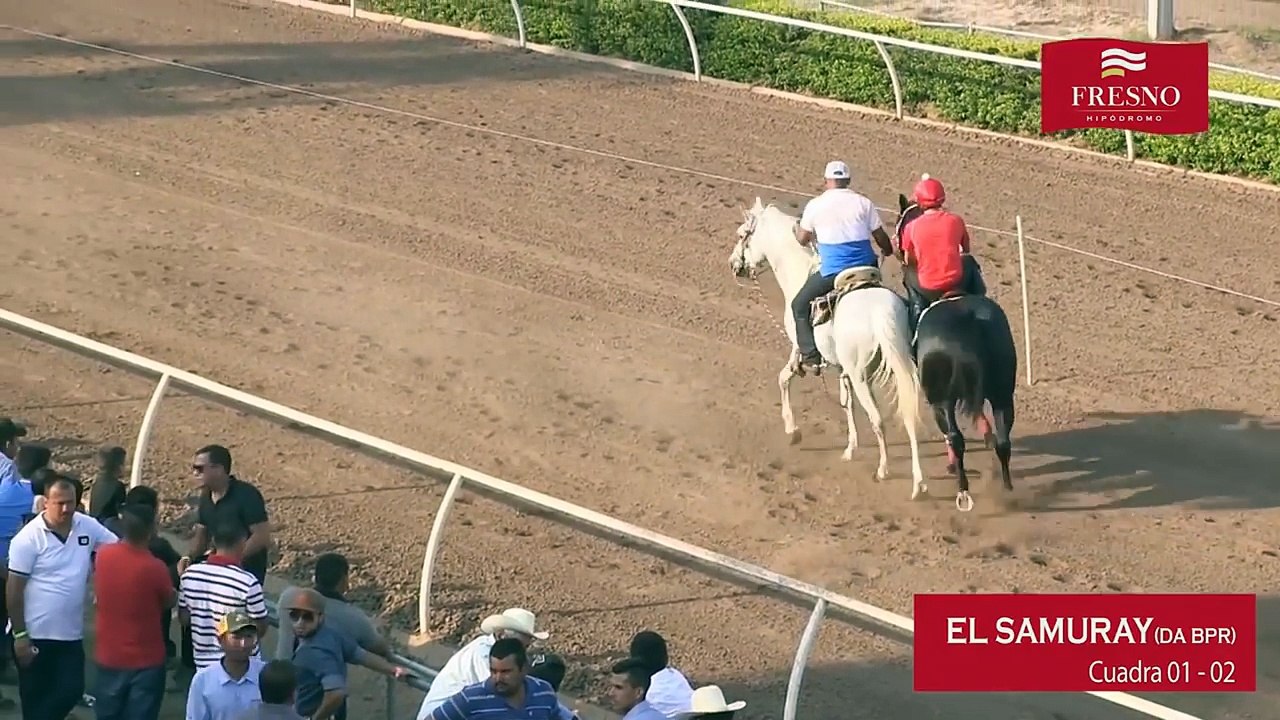 EL SAMURAY VS EL 30-30 | CARRERAS DE CABALLOS | FRESNO HIPODROMO