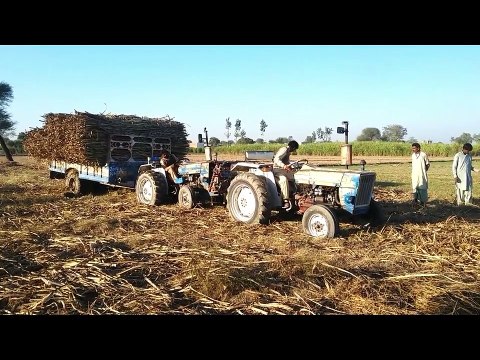Hilarious incident of tractor fails with loaded trolley pulling fail[Best Tractor Junction ]