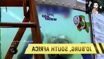 ماذا يحدث عندما نقوم بكسر بيضة تحت الماء ؟!