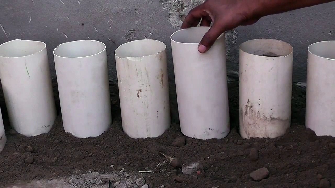 pvc paip beautiful vegetable gardening idea