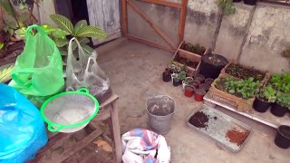 Best Potting Mix for Container Gardening | Soil Less Soil for Rooftop Gardening (Urdu/hindi)