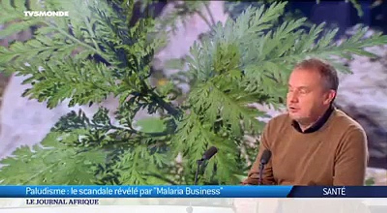 Le scandale du paludisme révélé par un documentaire "Malaria Business"