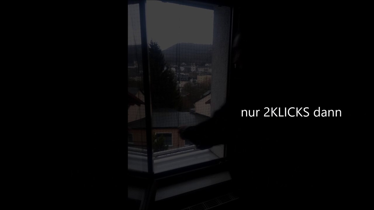 Das Katzennetz Raff Rollo mit Seilzug