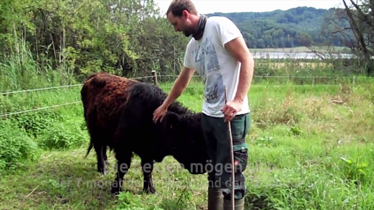 Fleischkäse Leberkäse gewerbliche Herstellung