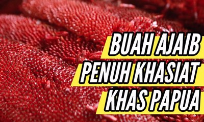Buah Ajaib dari Papua Penuh Khasiat