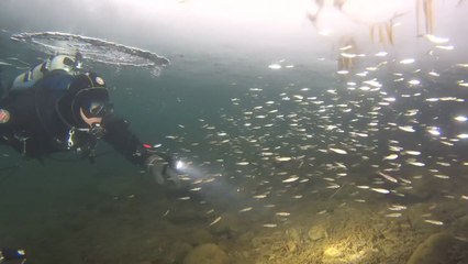 "얼음 깨고 풍덩" 아이스 다이빙의 매력 / YTN