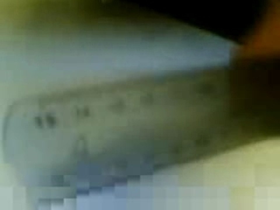 Snifette n°2