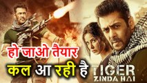 Tiger Zinda Hai को मिलेगा Christmas और New Year का फायदा, First Week Collection होगा इतना