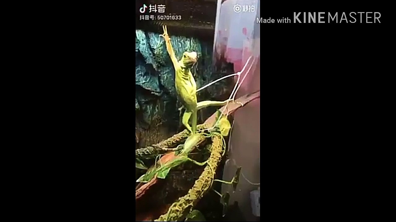 เวลาเจอสาวต้องทำแบบนี้