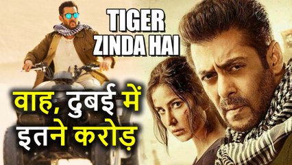 Tiger Zinda Hai First Day Collection Dubai, सबने कहा Blockbuster