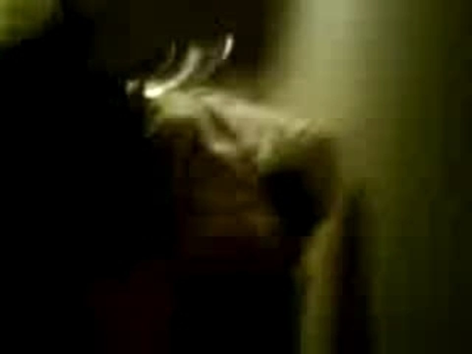 MOV00151