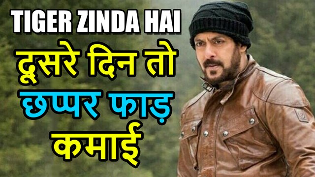 Tiger Zinda Hai 2nd Day Collection, कमाई हुई 69 Crore पार