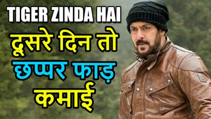 Tiger Zinda Hai 2nd Day Collection, कमाई हुई 69 Crore पार