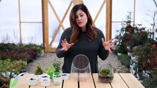 How to Make A Terrarium (Full Version) // Garden Answer