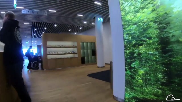 Is Lufthansa Really A 5-Star Airline?! Business Class Experience: A340 Munich-San Francisco