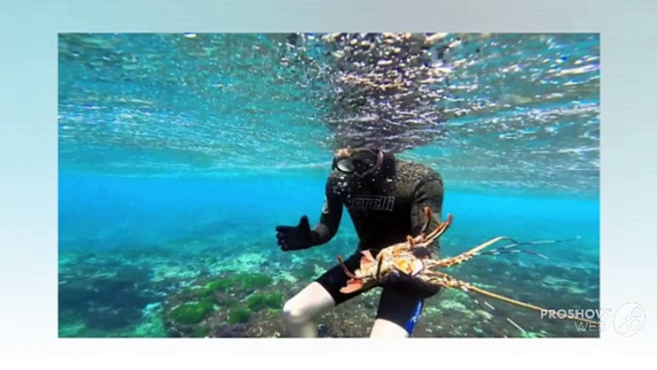 Useful Apparels and Safety Equipment for Lobster Diving