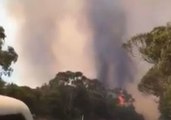 Two Wildfires Burning in Royal National Park South of Sydney