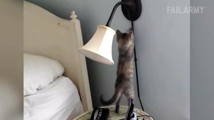 Are you a light switch Because you turn me on.