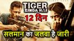 Tiger Zinda Hai का 12th Day Collection, Box Office पर Salman Khan का जलवा कायम