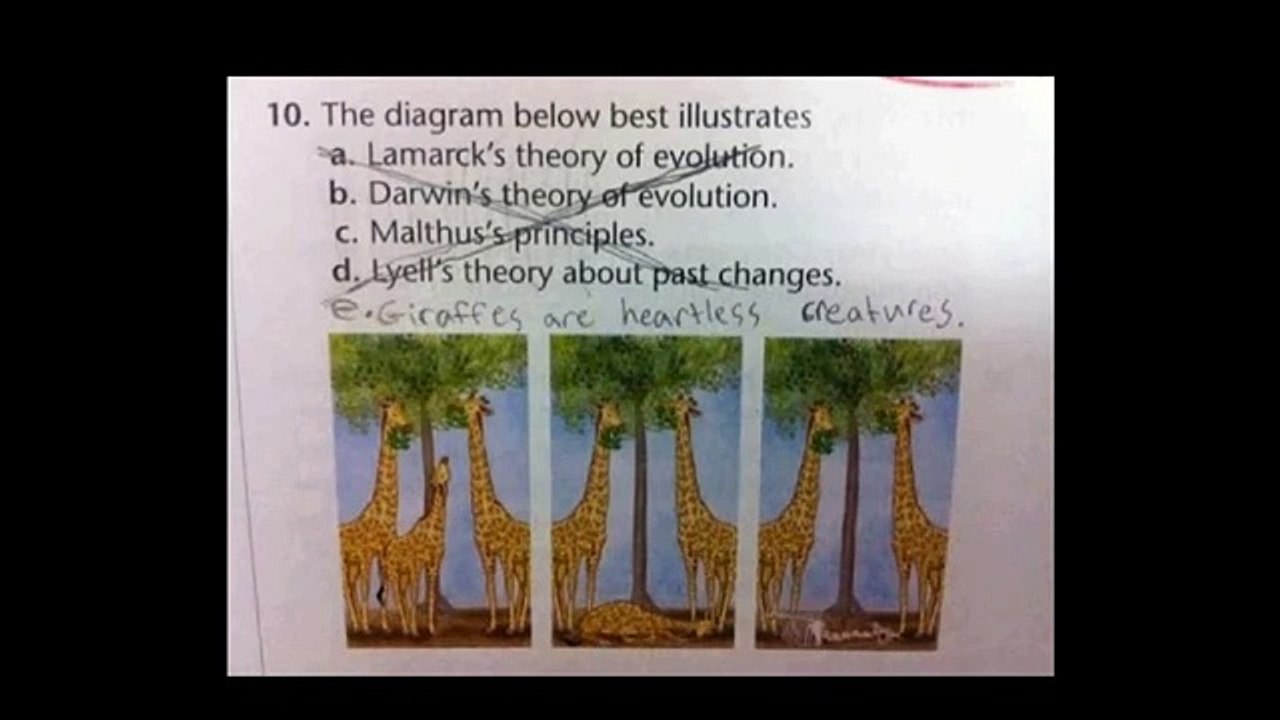 Funny Exam Answers #3: The Purpose of Those Nasty Tests Revealed!