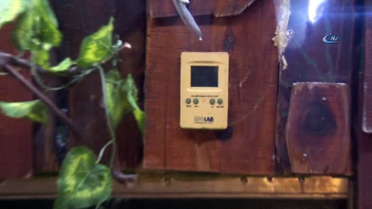 Anadolu Harikalar Diyarı Hayvanat Bahçesi çetin kış şartlarına hazır