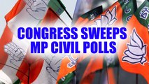 Madhya Pradesh : Congress bags 20 of the 24 seats in Raghogarh Municipal elections | Oneindia News