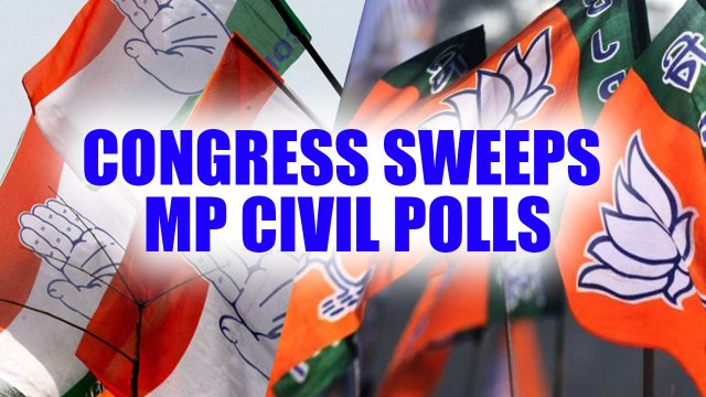 Madhya Pradesh : Congress bags 20 of the 24 seats in Raghogarh Municipal elections | Oneindia News