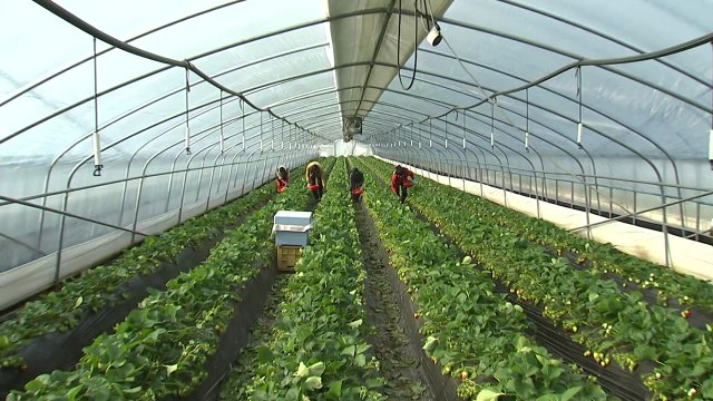 '휴일 없는' 농촌...도시에선 '체험 교육' / YTN