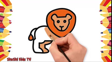 BABY LEARN DRAW AND COLOR HOW TO DRAW BEAR
