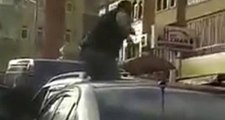 Öfkeli Sürücü Otomobilin Üzerine Çıkıp Tekmelerle Ön Camını Kırdı