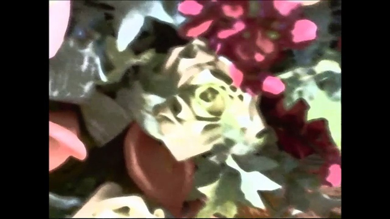 Cennet - Amazon Dance Mix
