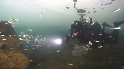 "얼음 깨고 풍덩" 아이스 다이빙의 매력 / YTN