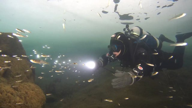 얼음 깨고 풍덩 아이스 다이빙의 매력 / YTN