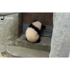 밤일구글검색_알바가자유흥업소알바생 급여 샤넬 팬더 ㅋㅋ 강남텐프로알바일당 고액알바 취업 구인구직은 알바가자