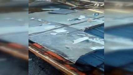 Köpekler dev dalgalar arasında telef oldu