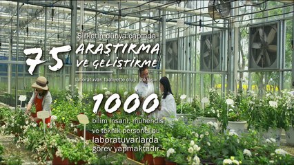 Amway Hakkında Bilgi