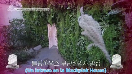 [SUB.ESPAÑOL] 180120 Blackpink House EP3 (2/5)