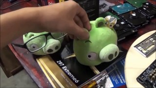 Angry Birds Fight! Plush Series Episode 6: Never Trust the Chicken