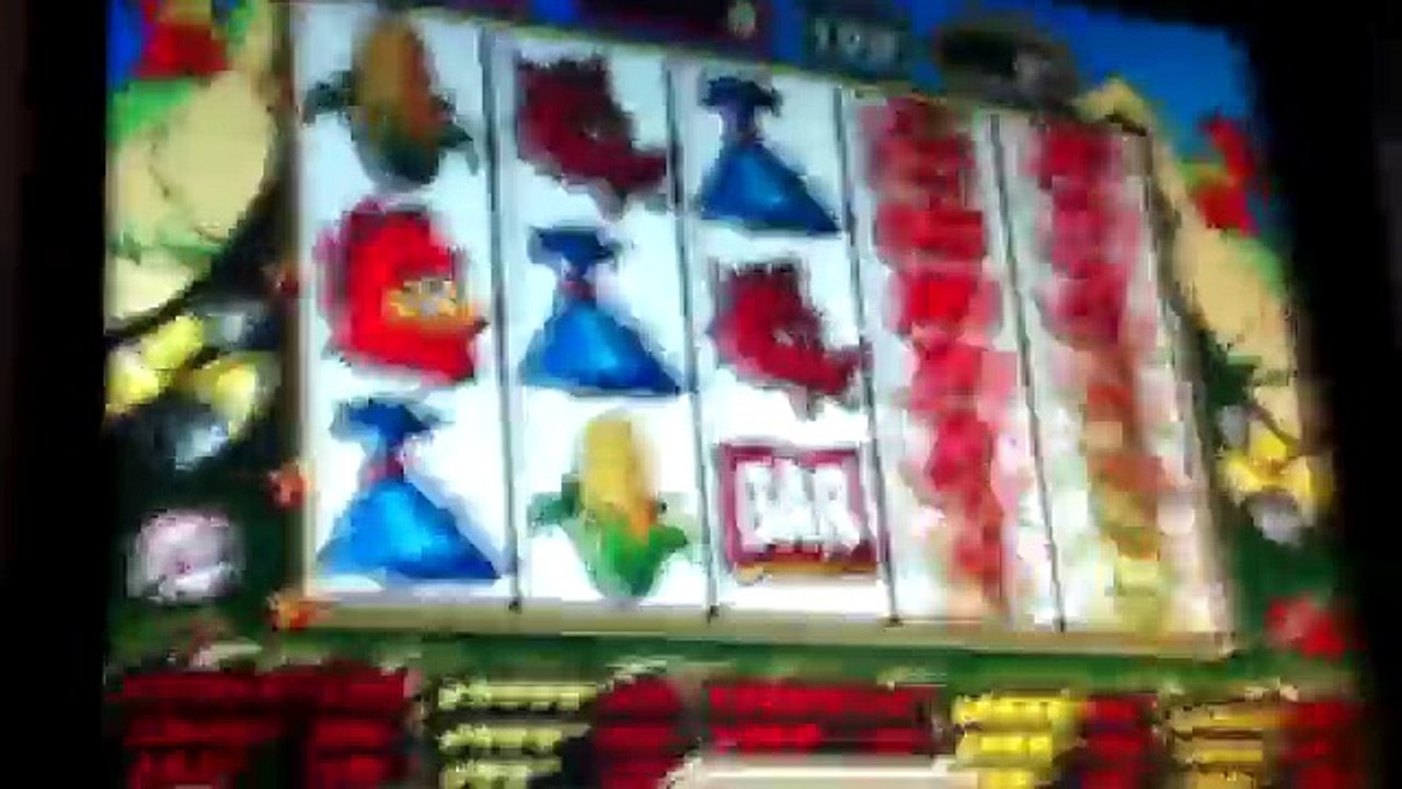 Super Bonus FOWL PLAY (gallina) slot machine - 4.000 €